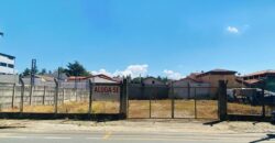 Terreno para locação no bairro Árvore Grande